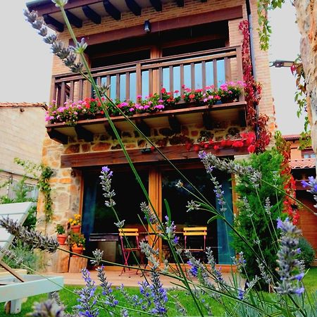 La Galiana Loft Nature Casarejos ภายนอก รูปภาพ