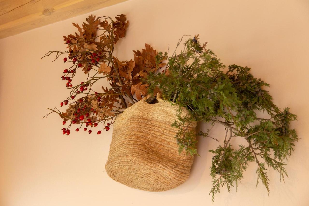 La Galiana Loft Nature Casarejos ภายนอก รูปภาพ